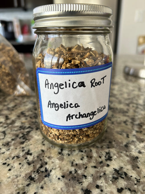 Angelica Root (3.5 oz)