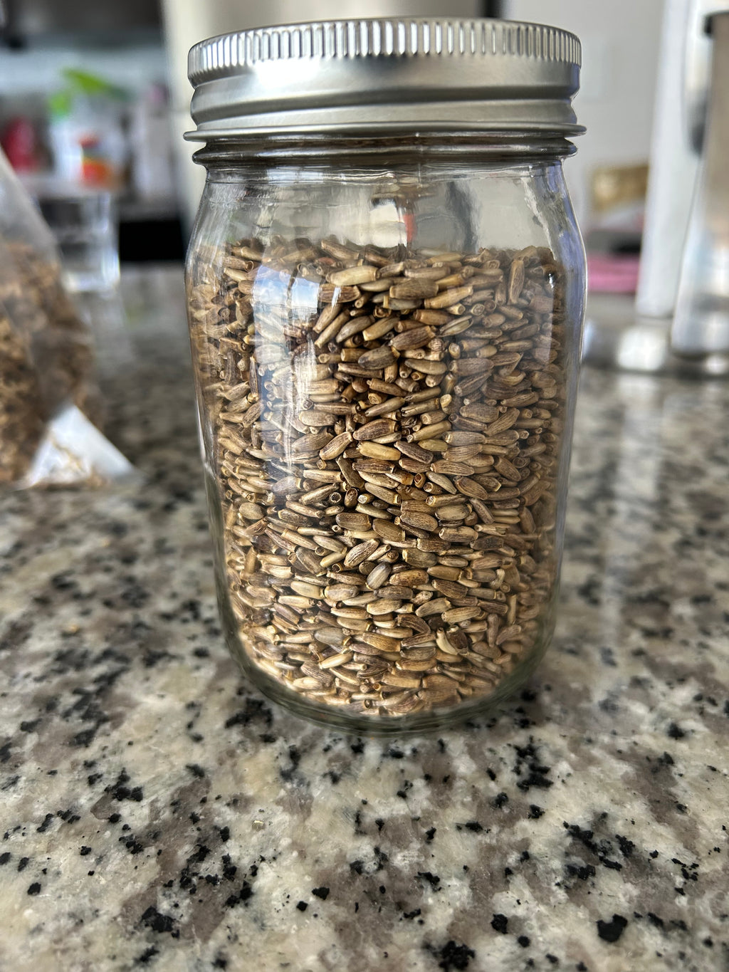 Milk Thistle Seed