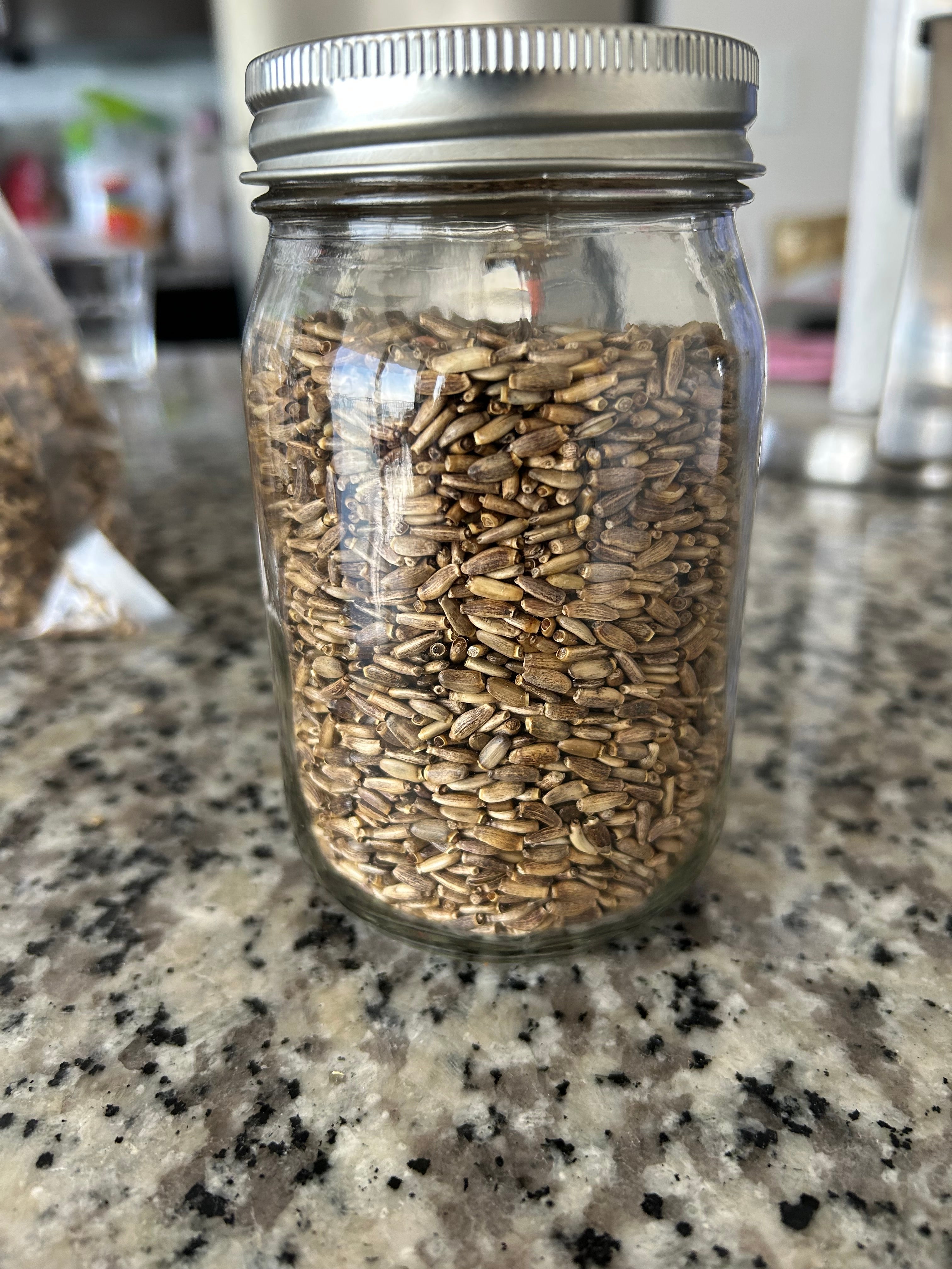Milk Thistle Seed